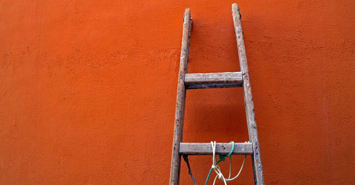 a ladder with traditional degree rungs on one side and micro-credential rungs on the other, merging into a single path