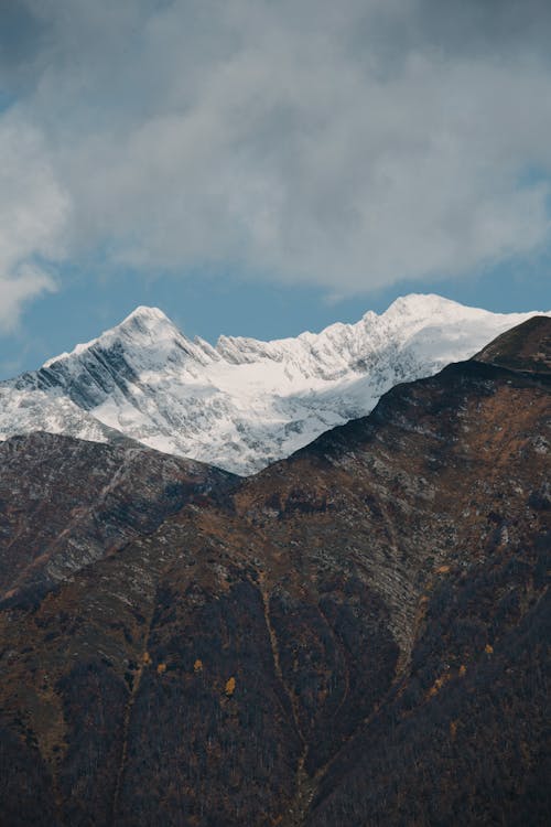 优美的风景, 冬季, 垂直拍摄 的 免费素材图片