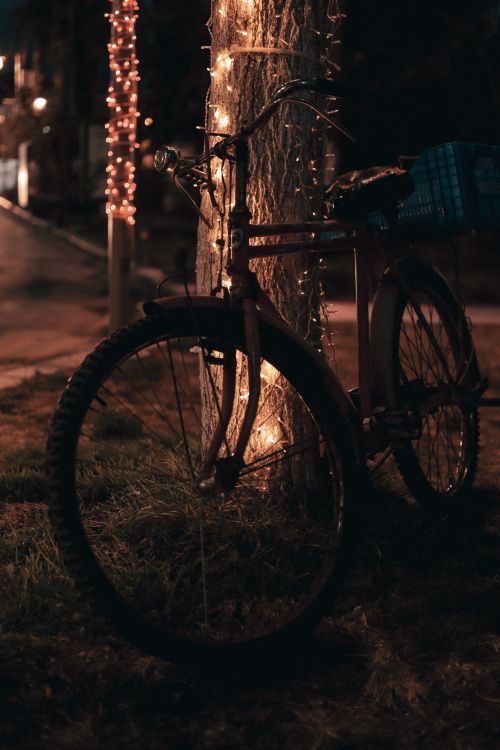 Free A bicycle parked against a tree decorated with warm string lights, creating a cozy night scene. Stock Photo