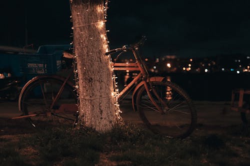 Бесплатное стоковое фото с велосипед, гирлянда, ночное