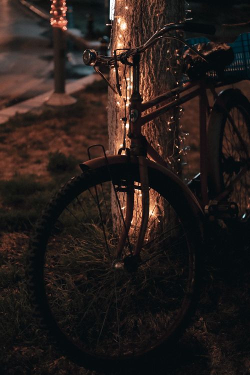 Free Cozy night scene of a bicycle wrapped in string lights leaning against a tree. Stock Photo