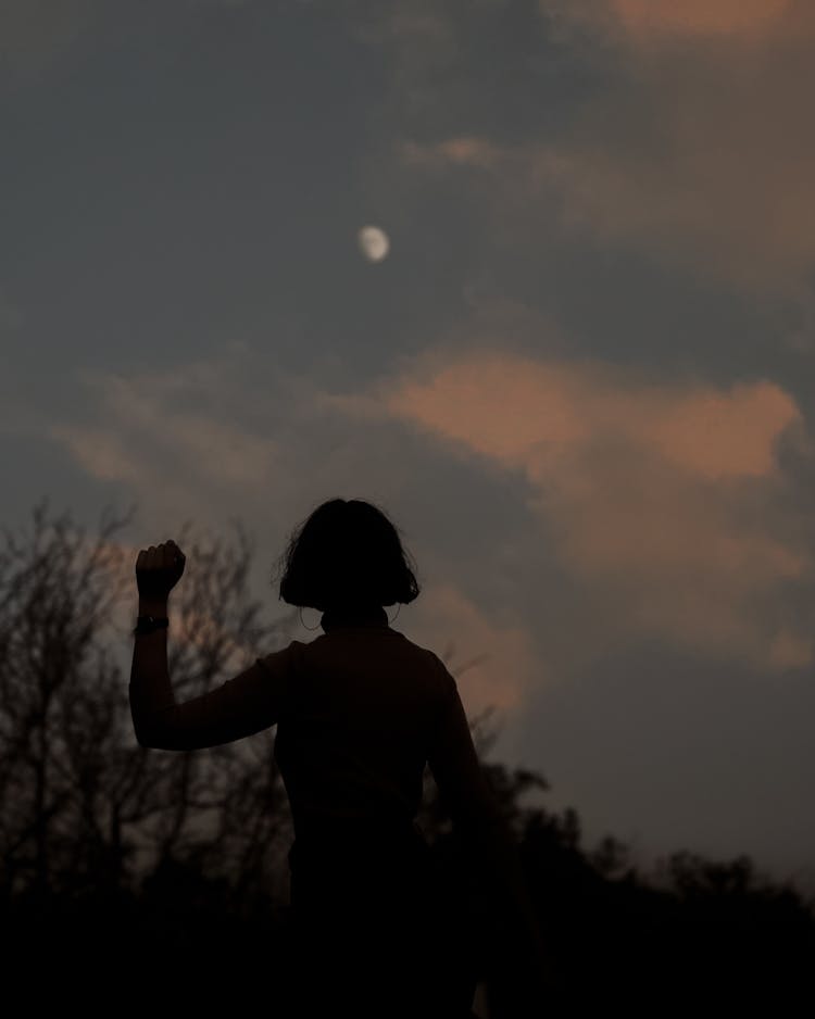 Silhouette Of Person With Fist Up Against Night Sky