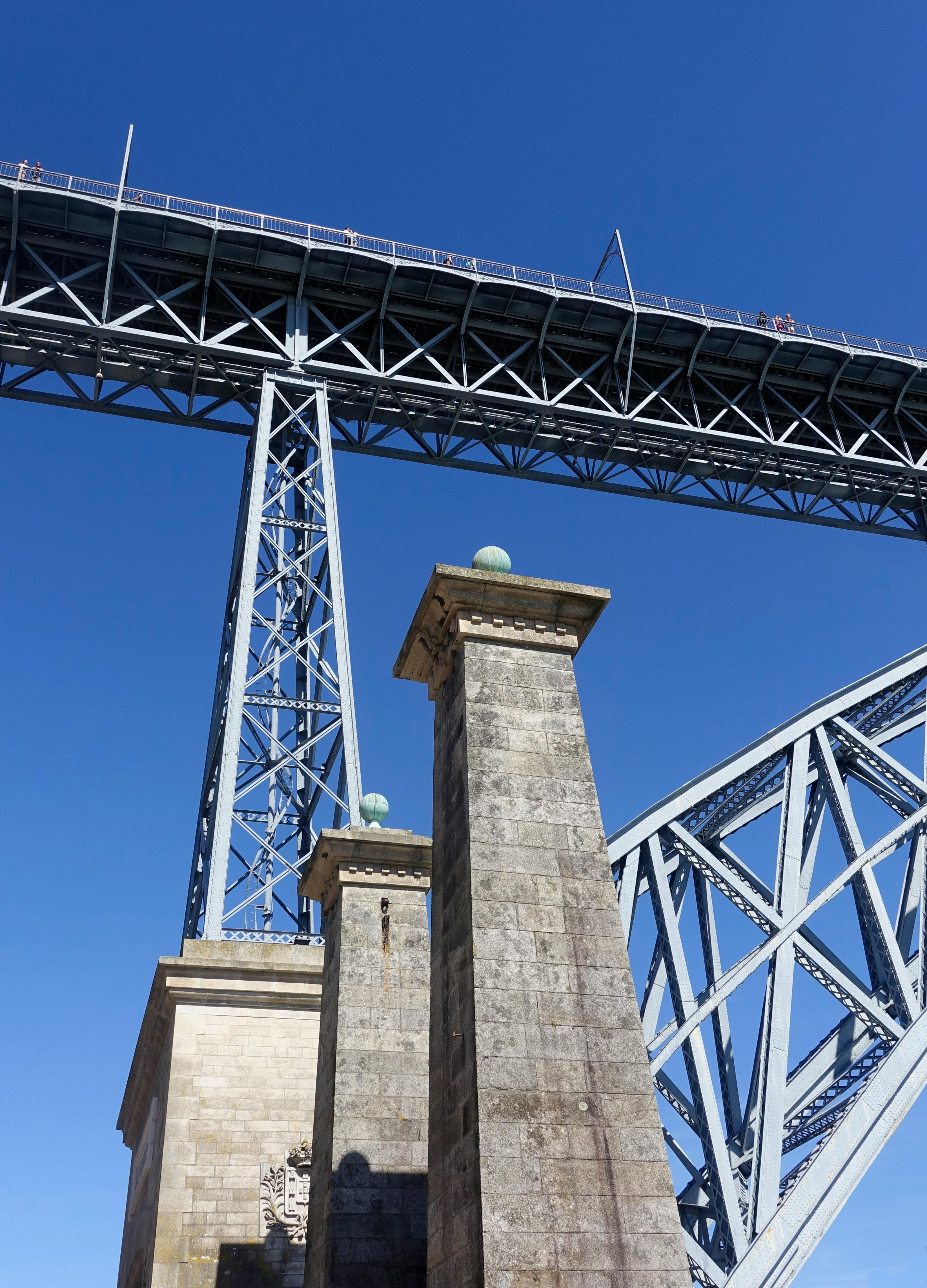 Are avocados high in fiber?