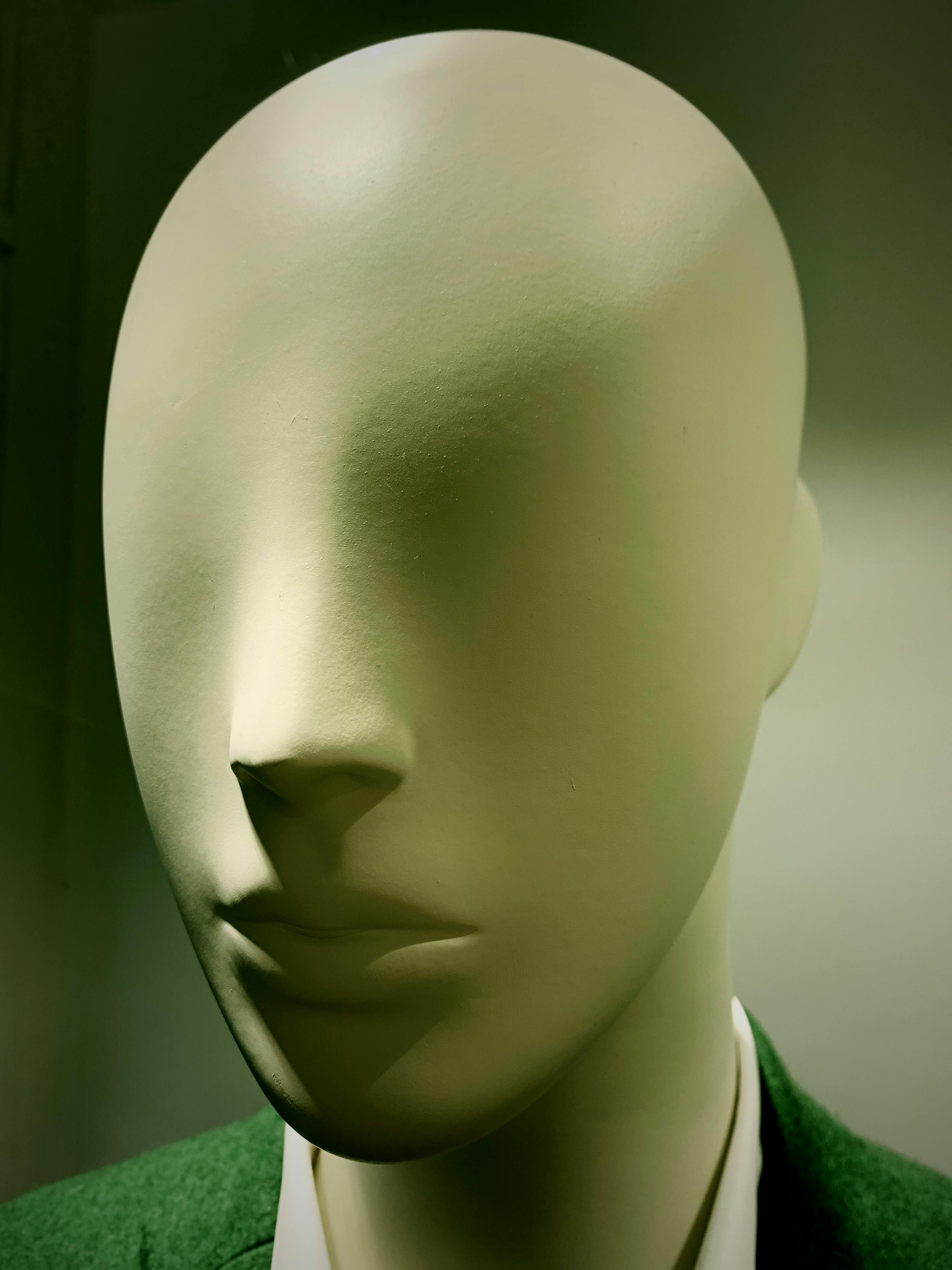 Miễn phí Ảnh lưu trữ miễn phí về #indoor, alkmaar, bắc hà lan Ảnh lưu trữ