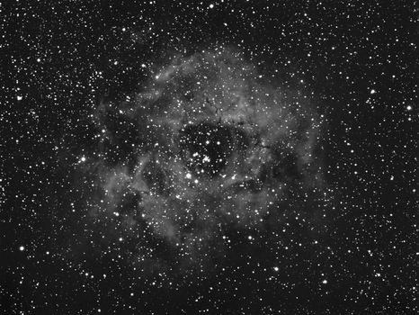 Stunning grayscale image of the Rosette Nebula capturing a celestial star field.