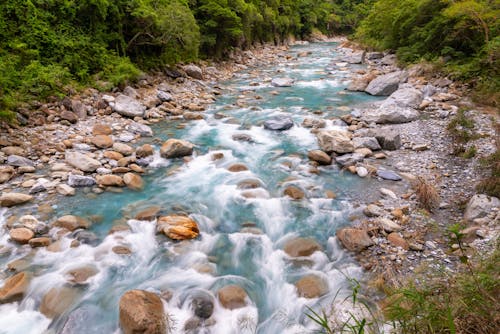 Photo of a River 