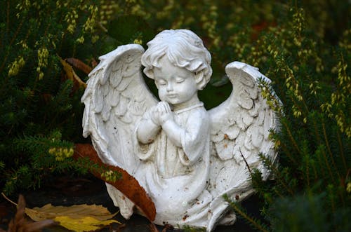 grátis Foto profissional grátis de anjo, decoração, escultura Foto profissional