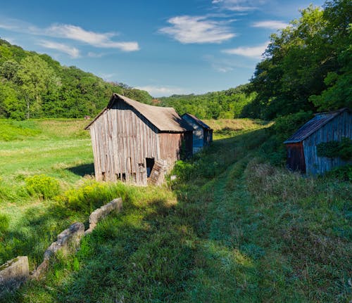 Wooden Sheds in Field