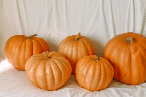 Free Orange Pumpkins on White Textile Stock Photo