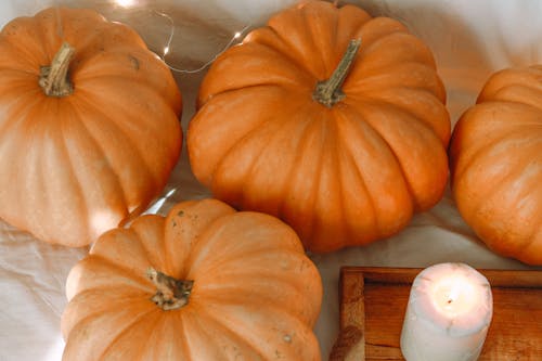 Orange Pumpkins Beside a White Candle 