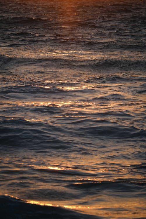 Darmowe zdjęcie z galerii z ciemny, fale, morze