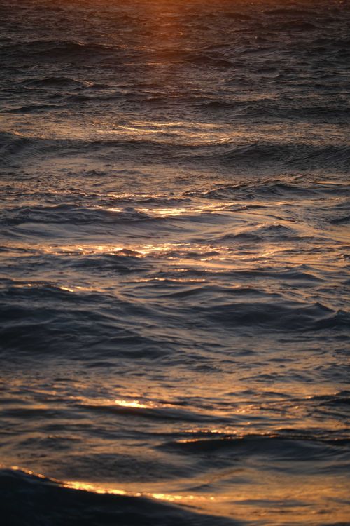 Free Peaceful ocean scene with golden sunset reflected on calm waves. Stock Photo
