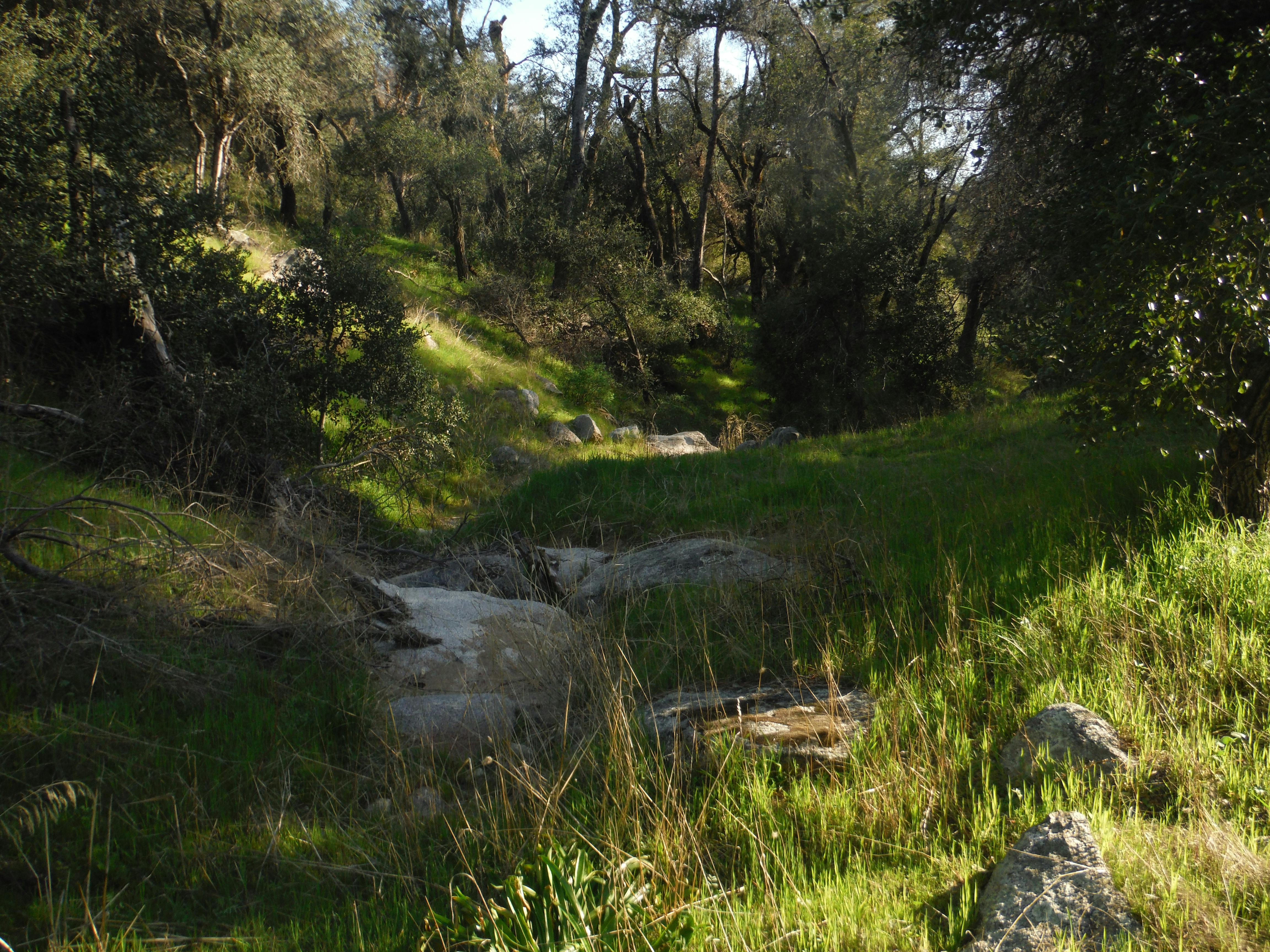 비트코인 차트와 코인