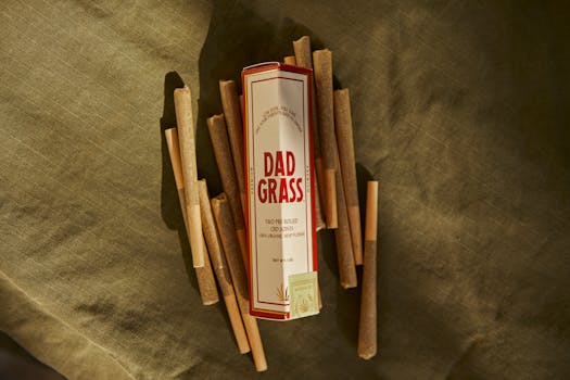 Close-up of Dad Grass packaging with pre-rolled CBD joints displayed on a textured green surface.