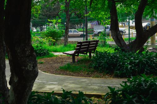 Free stock photo of banking, city park, garden park Stock Photo
