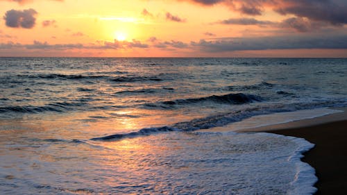 天性, 岸邊, 日落 的 免費圖庫相片