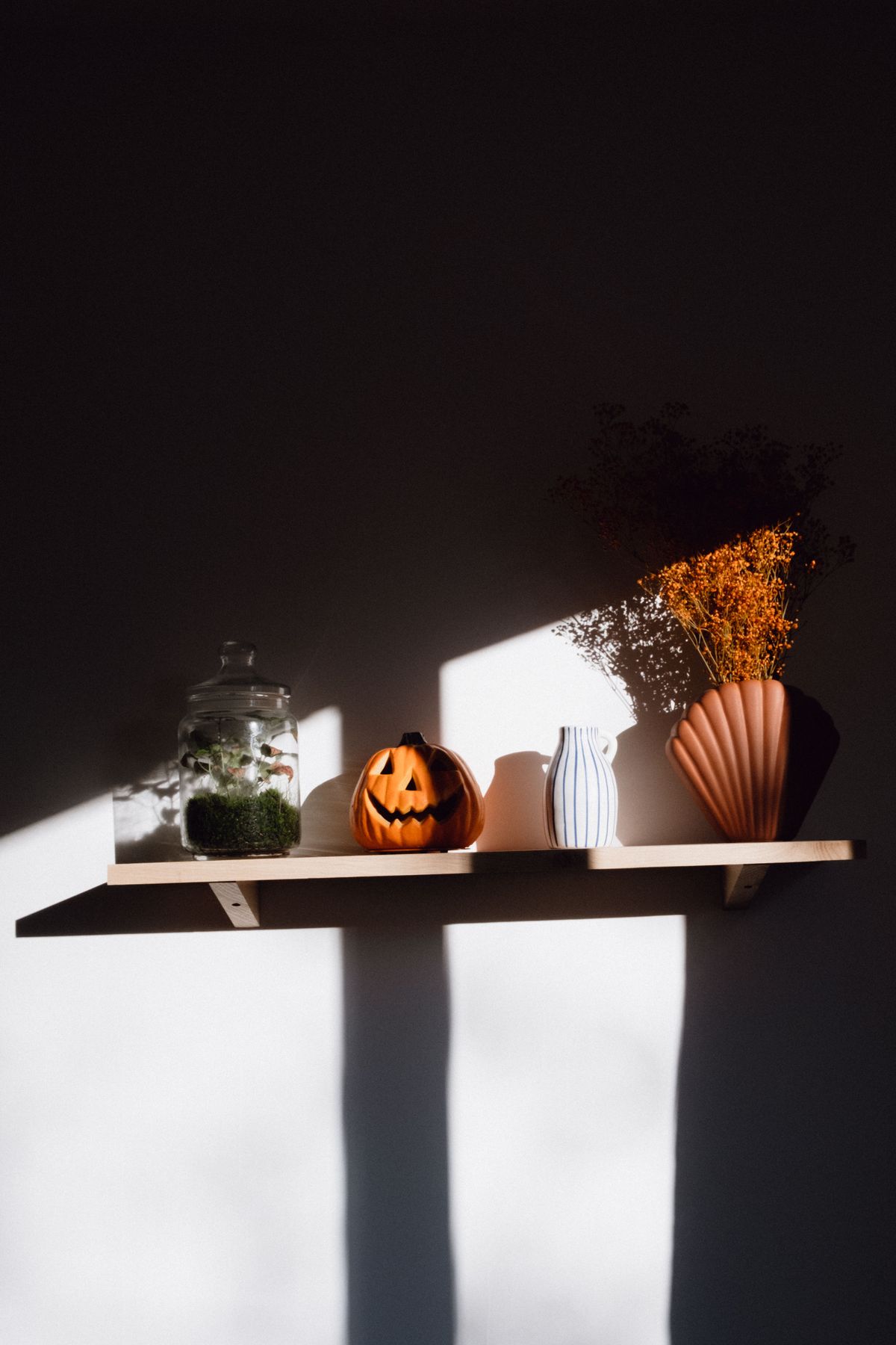 A creative arrangement on a shelf featuring a Halloween pumpkin, plants, and vases, highlighted by sunlight. Stock Photo.