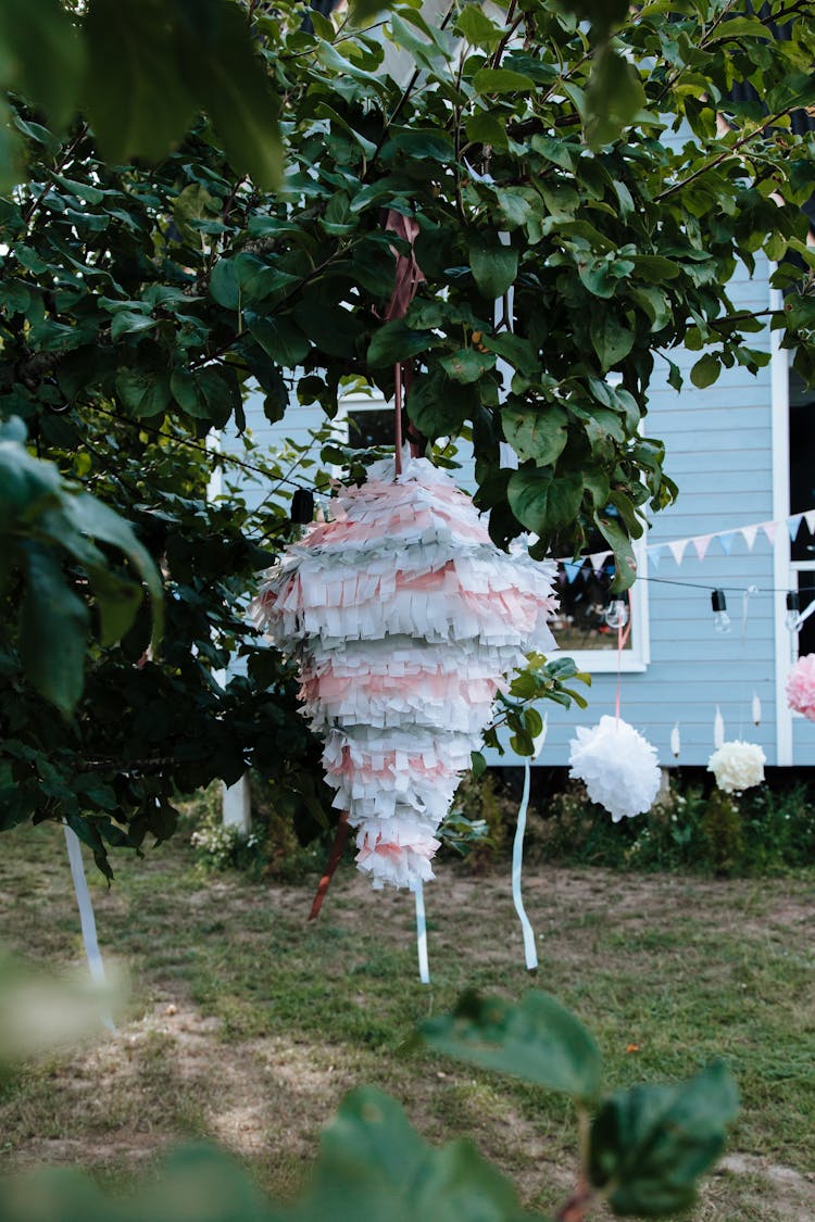 Pinata On Tree By House