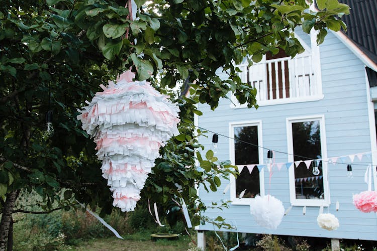 Pinata On Tree Next To House