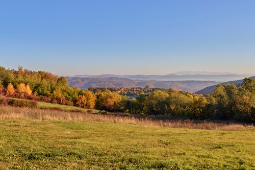 Kostenloses Stock Foto zu berge, blauer himmel, grasfläche