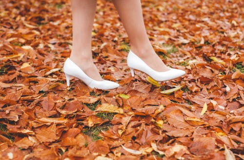 Free Person in White High Heels Shoes Walking on the Ground Full of Dried Leaves Stock Photo