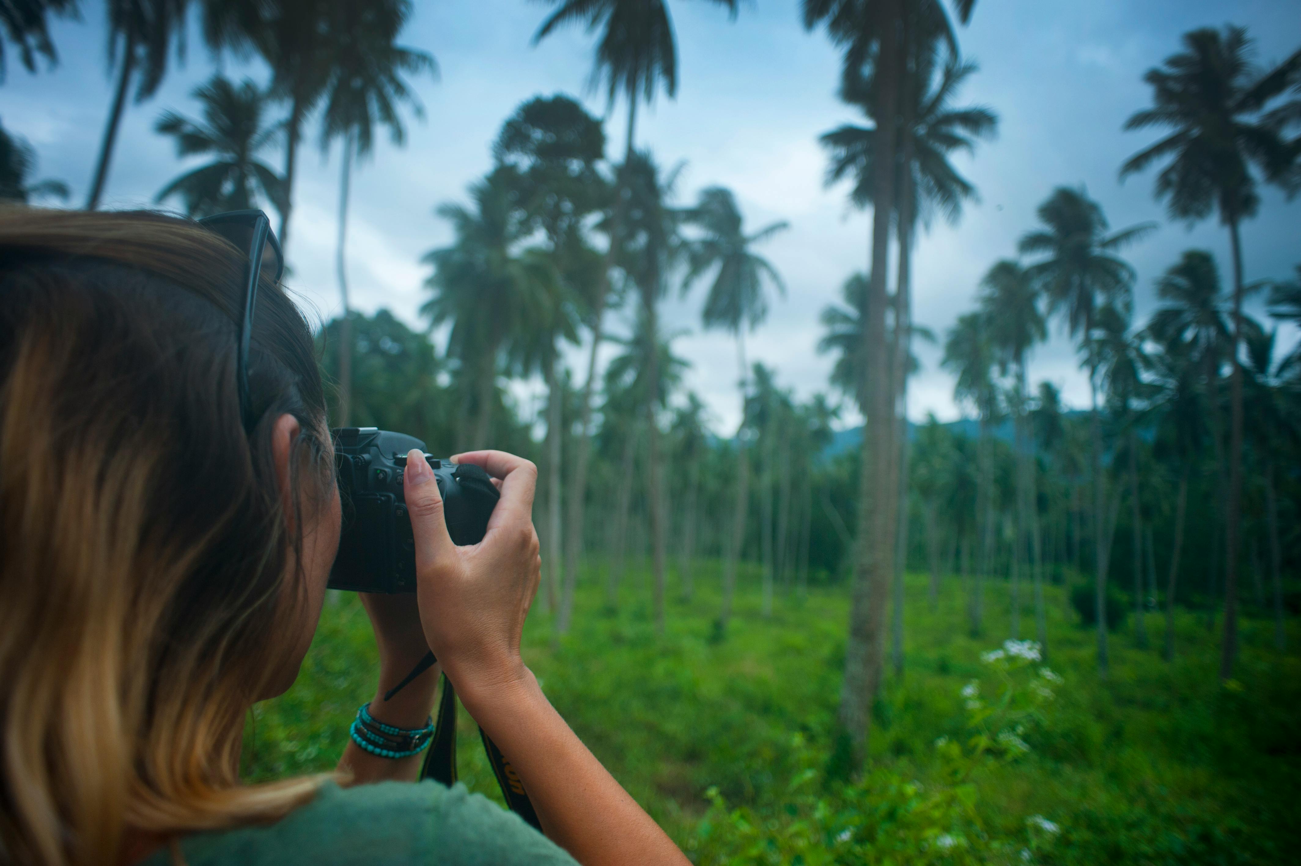 People Taking Pictures during Daytime · Free Stock Photo - 4256 x 2832 jpeg 1470kB