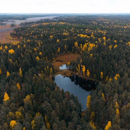 Foto stok gratis alam, danau, format persegi