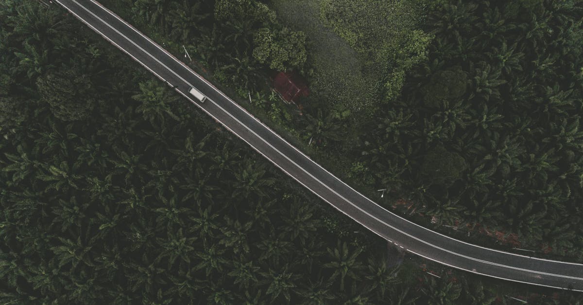 How long is monster truck show