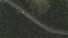 一条高速公路穿过马来西亚斯利姆河畔郁郁葱葱的热带森林