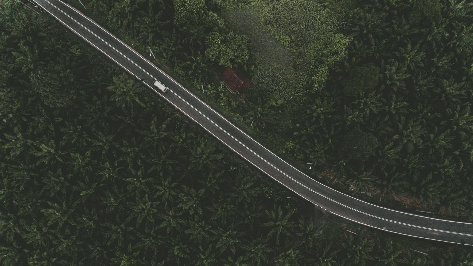 White Truck on Black Road