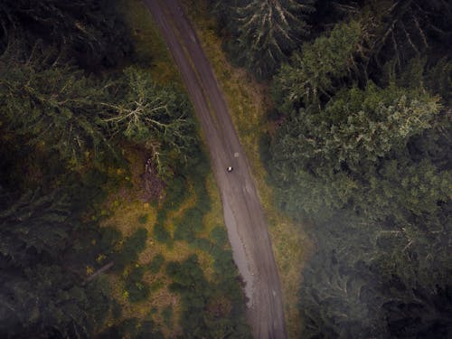 Free Aerial Shot Of a Dirt Road Stock Photo
