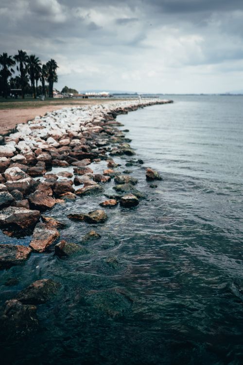 Free A serene rocky coastline with palm trees under an overcast sky, capturing the essence of coastal tranquility. Stock Photo