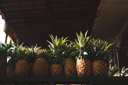 Kostnadsfri bild av ananas, frukt, hylla