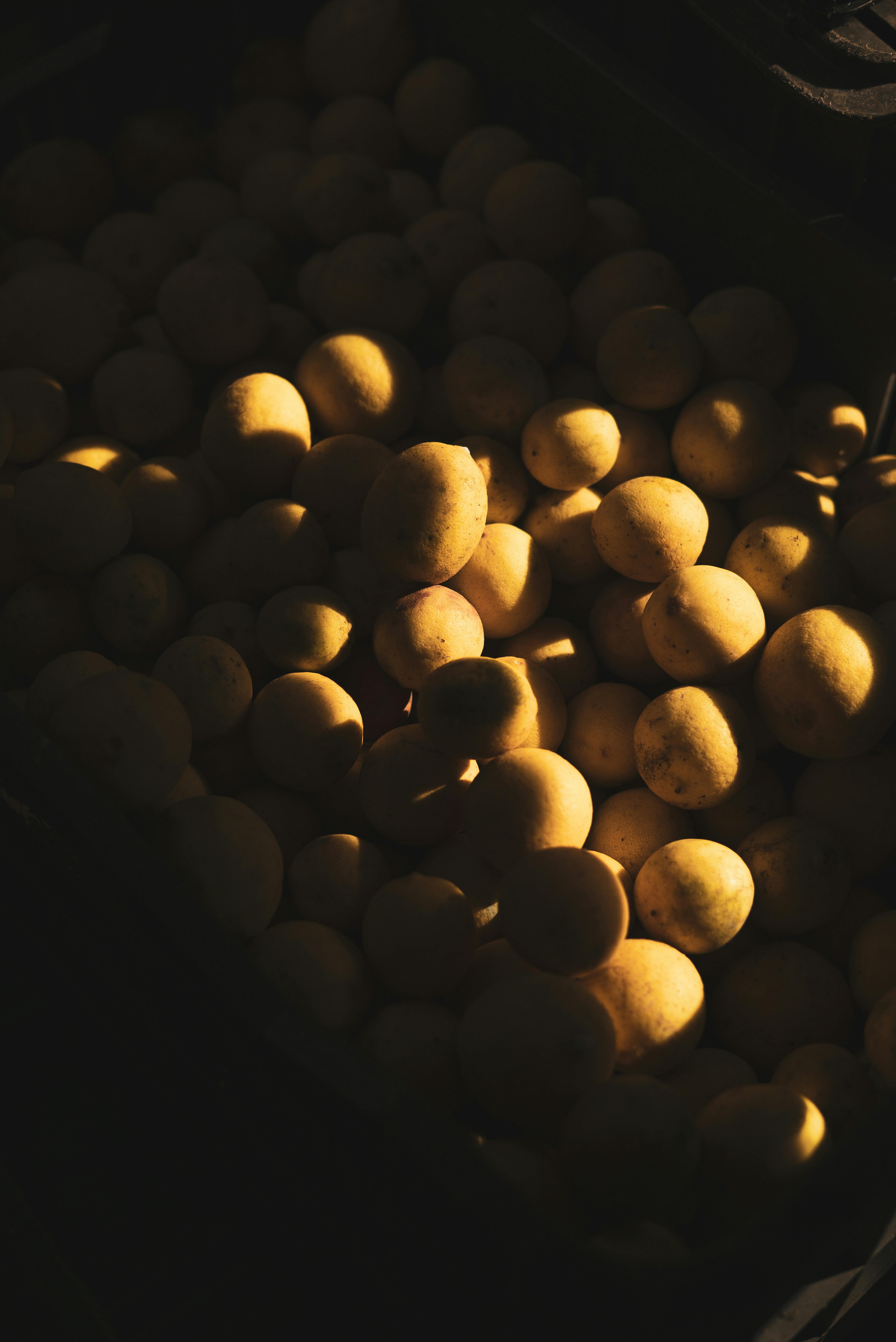 Fresh lemons basking in sunlight creating high contrast shadows.