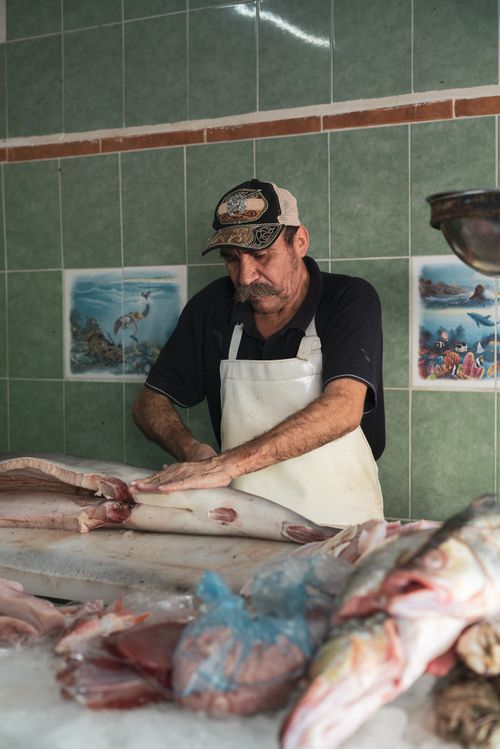 Free A man skillfully preparing fish indoors, showcasing fresh seafood in a market setting. Stock Photo
