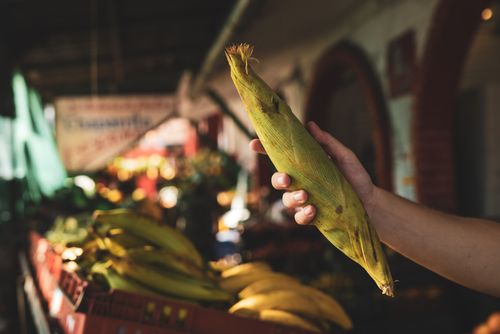Free Vibrant market scene with a hand holding fresh corn, showcasing local produce and street vending. Stock Photo
