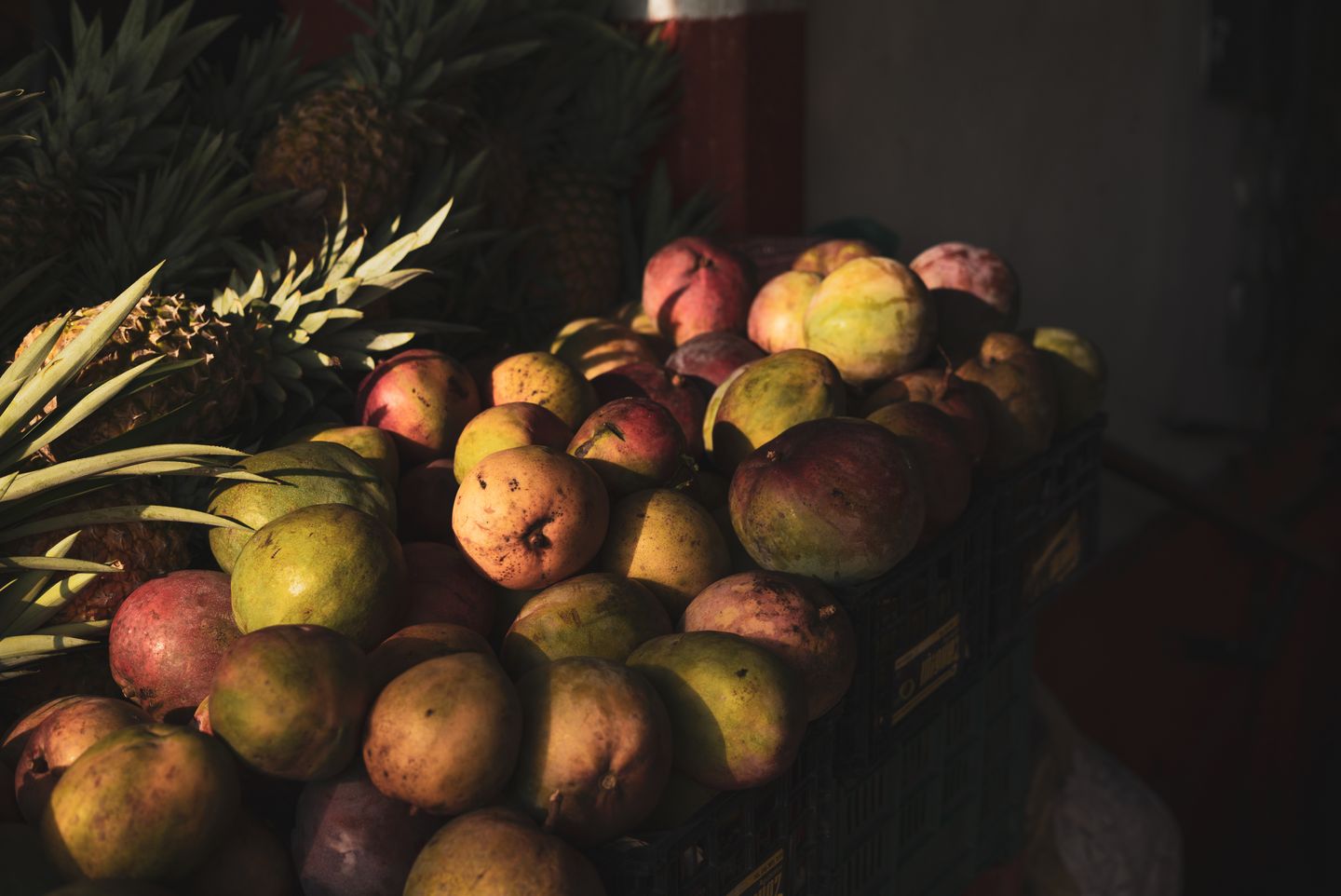 Tropical fruit stacked at a Hawaiian farmers market