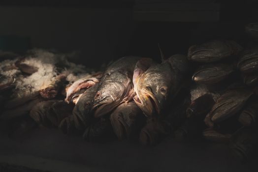 Close up on Stacked Dead Fish