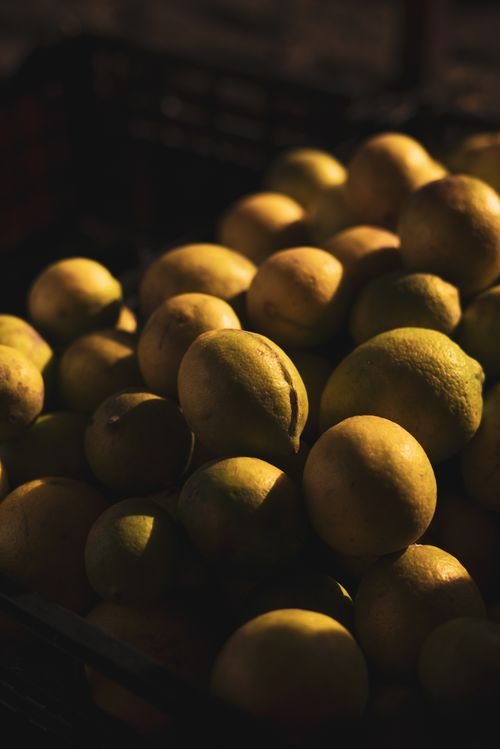 Free A rustic close-up of fresh ripe lemons basking in warm sunlight, showcasing vibrant textures. Stock Photo