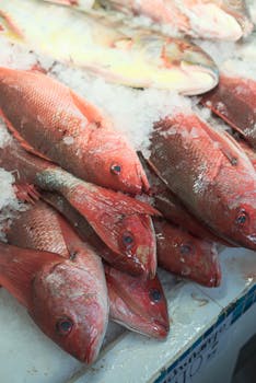 Close-up of fresh red snapper fish arranged on ice display at market.