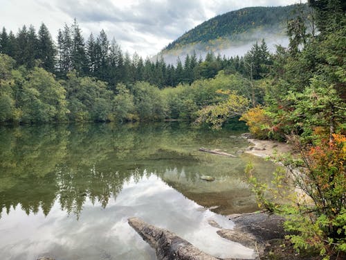 Foto profissional grátis de columbia britânica, lago, natureza