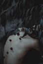Huddled Shirtless Man With Flowers on Back