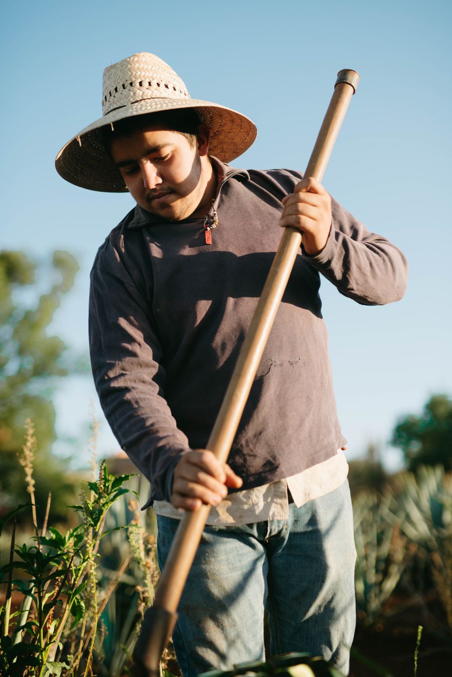Agricultor ecuatoriano trabajando su terreno, financiado con Microcrédito Manantial