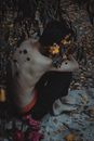 Huddled Shirtless Man Holding Flowers