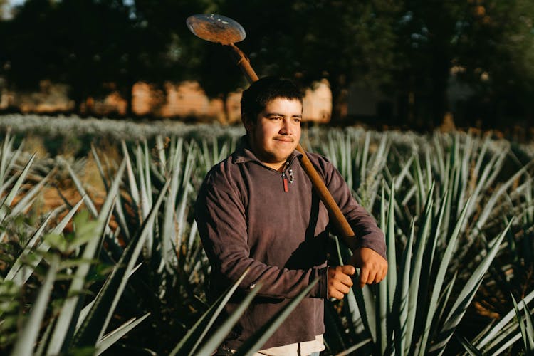 A Famer Standing In The Agave Farm