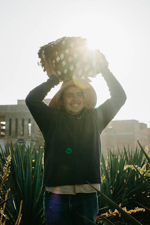 adam, agave, çiftçi içeren Ücretsiz stok fotoğraf