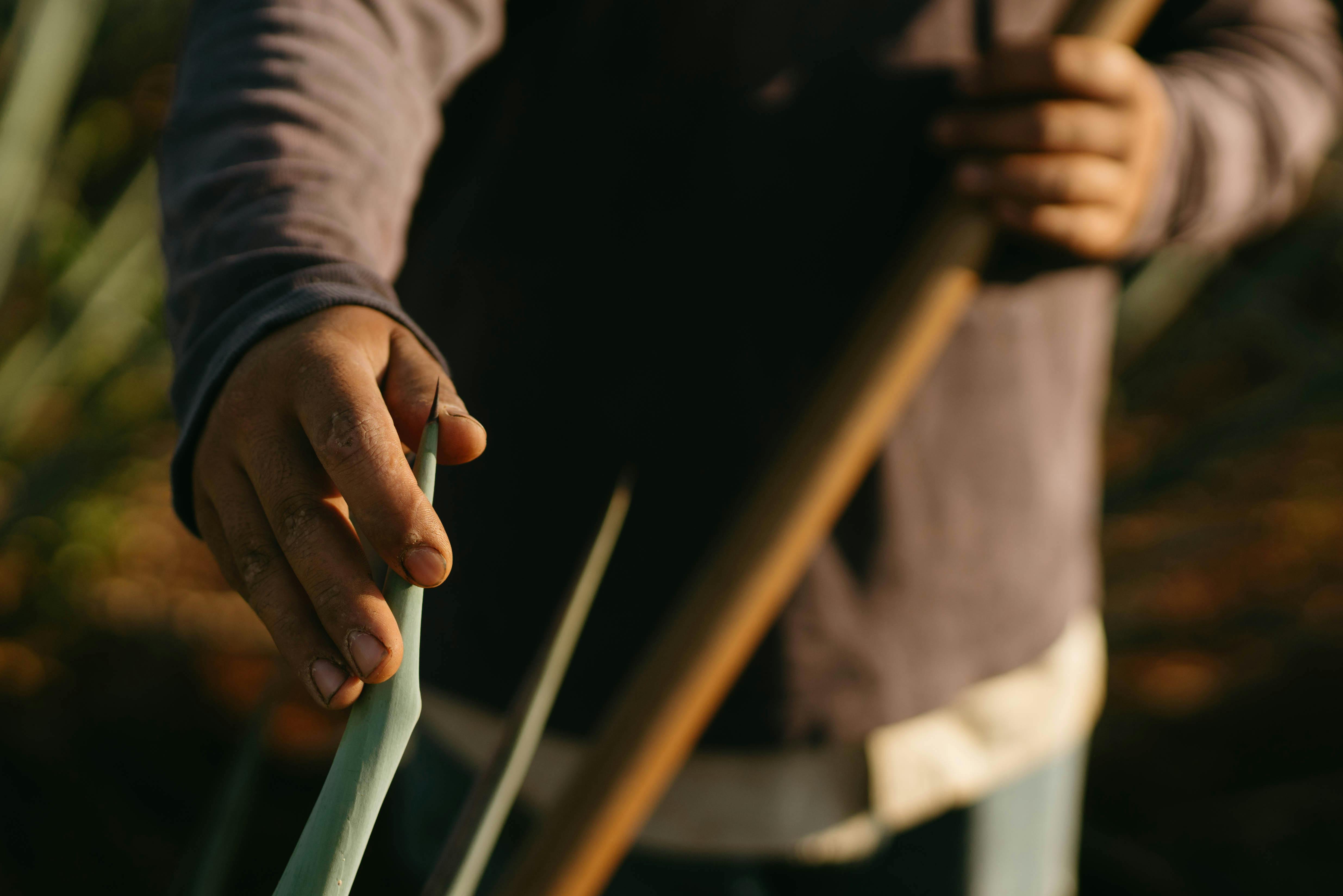 A person's hand gently touching an agave plant outdoors, symbolizing connection with nature.