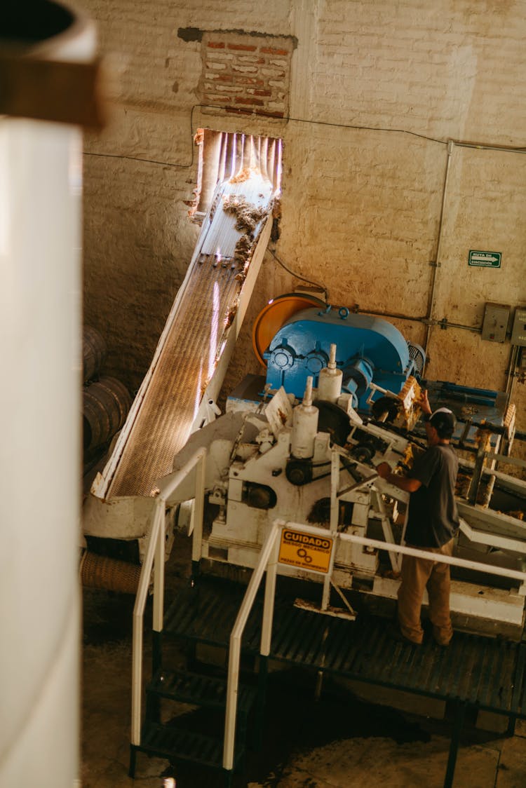 Agave Processing At Tequila Distillery