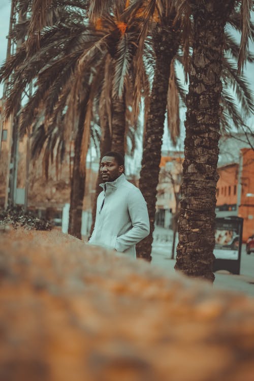 A Man in a Jacket Standing near Palm Trees