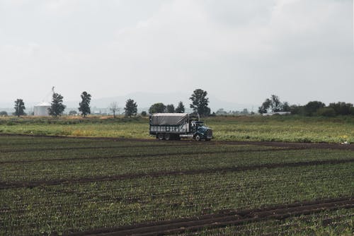 Foto stok gratis agrikultura, bidang, di luar rumah